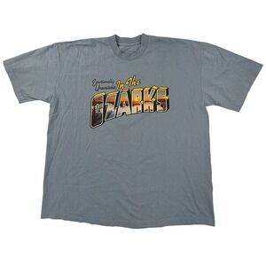 Emotionally Unavailable In The Ozarks Graphic T-Shirt Blue Grey Mens 2XL USA